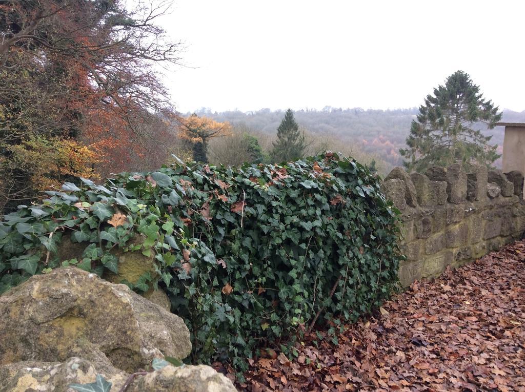 Longacre Bed & Breakfast Freshford Стая снимка